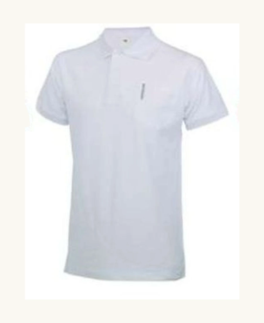 Polo Galaxy